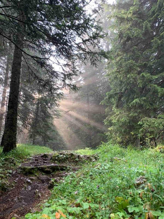 Vikendica Borje Villa Žabljak Buitenkant foto