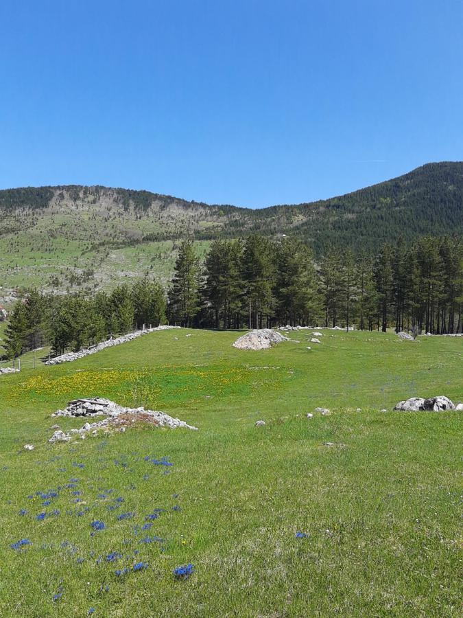 Vikendica Borje Villa Žabljak Buitenkant foto