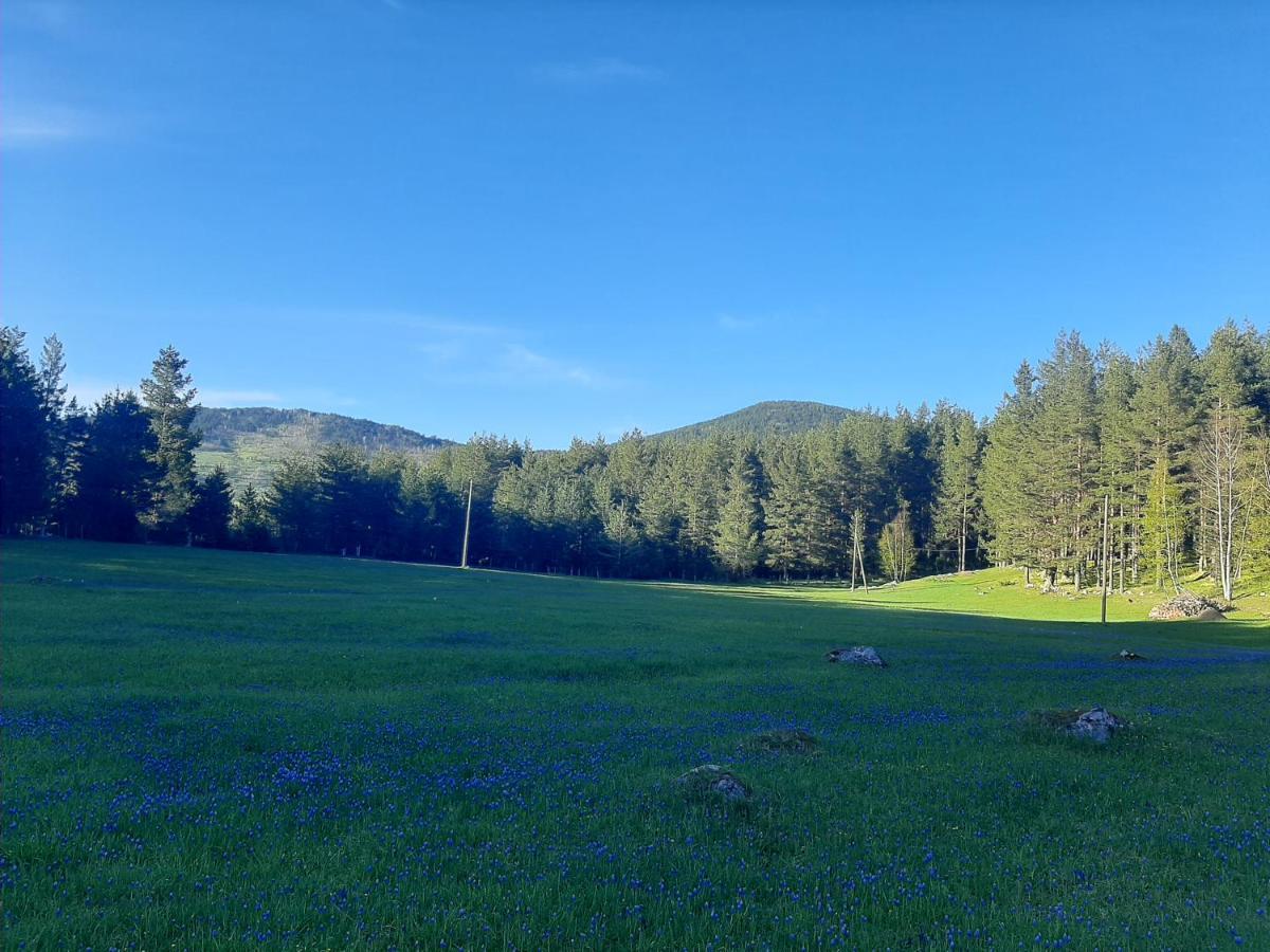 Vikendica Borje Villa Žabljak Buitenkant foto